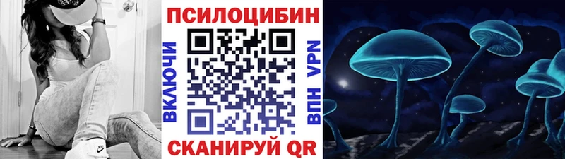 где можно купить   Катайск  Псилоцибиновые грибы Magic Shrooms 